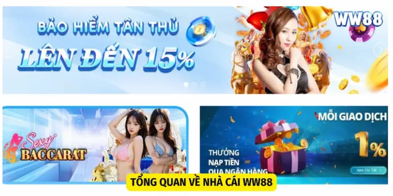 gioi-thieu-ww88-tong-quan-nha-cai